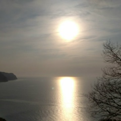 Alisadi Kalaakan, 03.12.1985, İstanbul