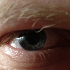 Русский Человек, 29.04, Москва