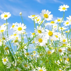 Татьяна Жиркова, 01.04.1983, Якутск