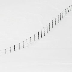 Евгений Молянов, 13.02, Москва