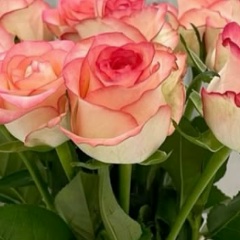 Лидия Ким, Seoul