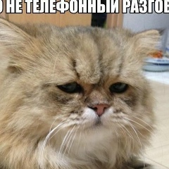 Иван Лялин, 15.09.1985, Санкт-Петербург