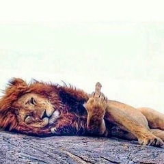 Rich Mond, 24.08, Астрахань