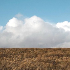 Юлия Плахотнюк, 05.12, Гайсин