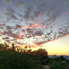 Наиль Вахитов, 06.08.1984, Ростов-на-Дону