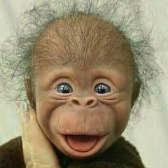 Дмитрий Огрызков, 23.08.1980, Петрозаводск