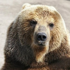 Михаил Иванов, 09.11.1988, Москва