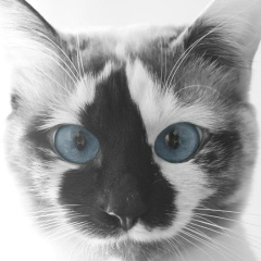 Муса Хайруллин, 25.01, Горноправдинск