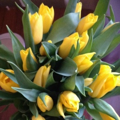 Валерия Ковалёва, 24.05.1986, Челябинск