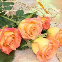 Раушан Жунисбекова, 27.12.1988, Шымкент