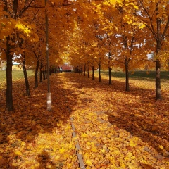 Лариса Сатушева, 22.07.1982, Москва