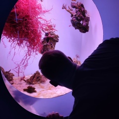 Дима Кириенко, 31.07.1991, Новосибирск