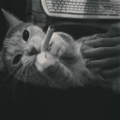 Evgeniy Lee, 11.09.1996, Seoul