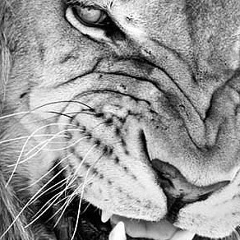 Елена Федотова, 14.04, Москва