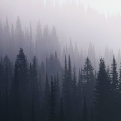 Алексей Попов, 29.05.1986, Ярославль