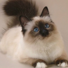 Жасмин Смирнова, 21.08, Екатеринбург