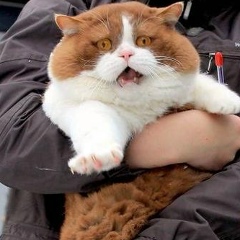 Ася Хузяхметова