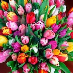 Shattyk Sapiyeva, 03.05.1988, Астана