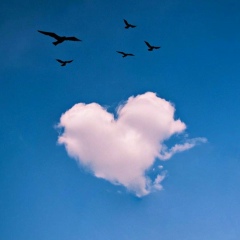 Алина Османова, 29.02.1996, Бишкек