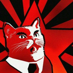 Дмитрий Бельченков, 27.07