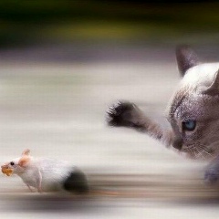 Александр Ворошилов, Москва