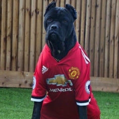 Александр Иванов, 18.05.1993