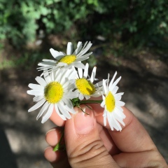 Жадруша Жумабаева, 08.08.1991, Актобе