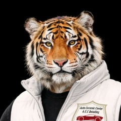 Алексей , Тюмень