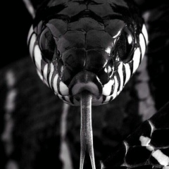 Марлен Аймбетов, Актобе