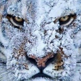 Мага Магомедов, 22.07.2002