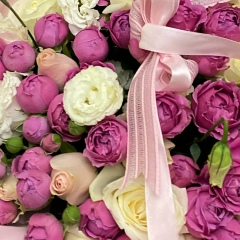 Амира Амирова