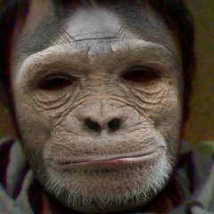 Иван Щербак, 24.08