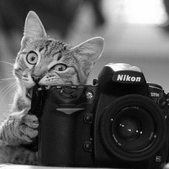 Алексей Алехин, 08.12.1985