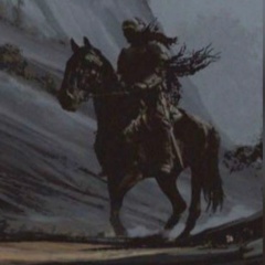 Шамиль Рабаданов, Ставрополь