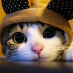 Дмитро Гуня, 27.09.1991, Киев