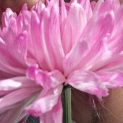 Анюта Третьякова, 10.07.1986, Тюмень