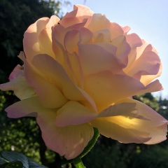 Liudmyla Faur, 20.10.1964, Первомайск