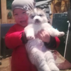 Baha Abdukadirov, 08.06.1986