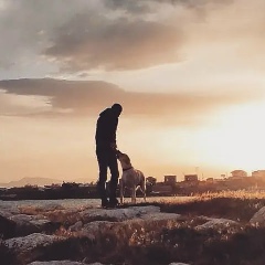 Artavazd Mehrabyan, 01.03.1993, Ереван