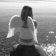 Юлия Петрова, Сочи