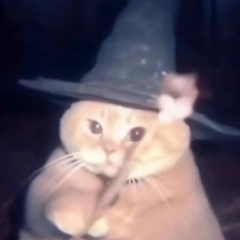 Тимофей Лобачевский, 27.03.1987, Москва