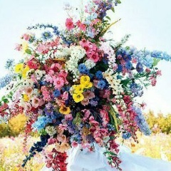 Юлия Тихонова, 15.05