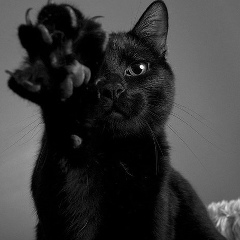 Гульмира Бекбулатова, 19.01, Астана