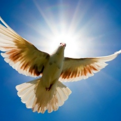 Бекетай Алпысбеков, 17.05.2000, Актау