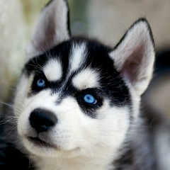 Айдар Сагидулла, 07.01, Астана