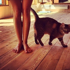 Вероника Матвеева, 25.11.1988, Москва