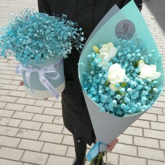 Асема Мушка, 07.07