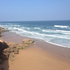 Dmitrii Ianchuk, 01.06