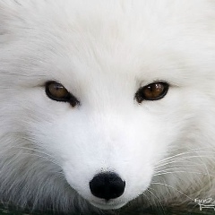 Артур Горбунов, 12.04.1977, Москва