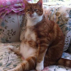 Карина Асланова, 15.03, Москва